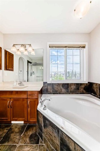 124 Lavender Way, Chestermere, AB - Indoor Photo Showing Bathroom