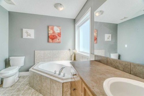 100 Royal Birch Crescent Nw, Calgary, AB - Indoor Photo Showing Bathroom