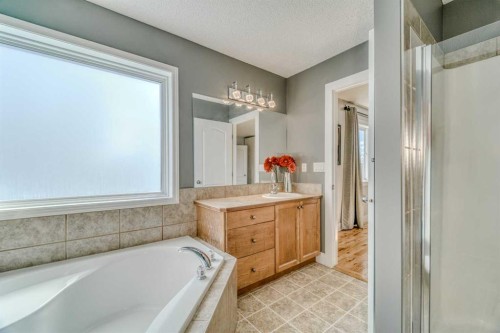100 Royal Birch Crescent Nw, Calgary, AB - Indoor Photo Showing Bathroom