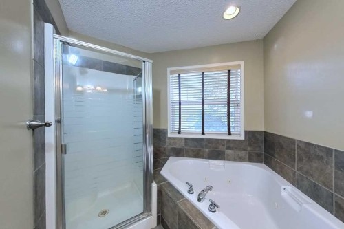 39 Simcoe Terrace Sw, Calgary, AB - Indoor Photo Showing Bathroom