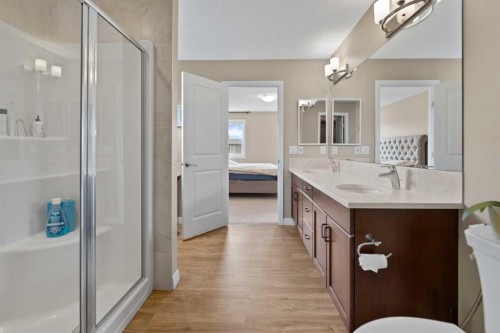 79 Cornerstone Passage Ne, Calgary, AB - Indoor Photo Showing Bathroom