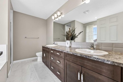 293 Windrow Crescent Sw, Airdrie, AB - Indoor Photo Showing Bathroom