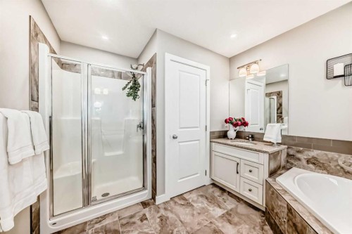2201 Bayside Circle Sw, Airdrie, AB - Indoor Photo Showing Bathroom
