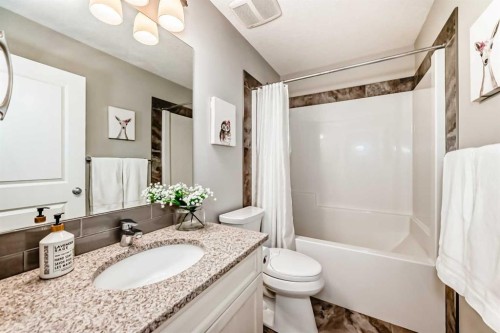 2201 Bayside Circle Sw, Airdrie, AB - Indoor Photo Showing Bathroom