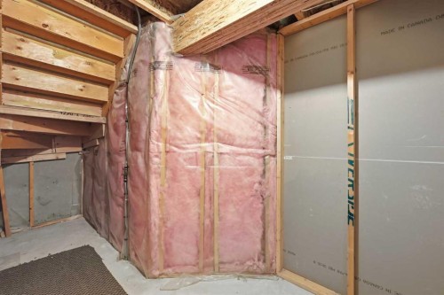 25 Tararidge Circle Ne, Calgary, AB - Indoor Photo Showing Basement