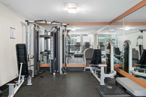 1006-519 Riverfront Avenue Se, Calgary, AB - Indoor Photo Showing Gym Room