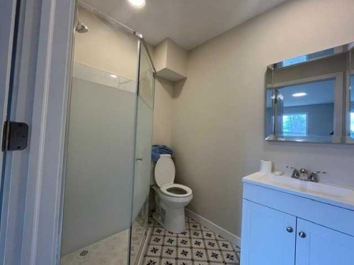 406 Main Street, Trochu, AB - Indoor Photo Showing Bathroom