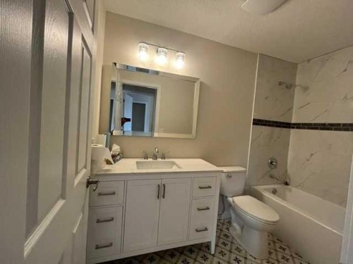 406 Main Street, Trochu, AB - Indoor Photo Showing Bathroom