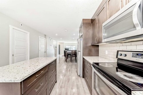 228 Red Embers Way Ne, Calgary, AB - Indoor Photo Showing Kitchen With Upgraded Kitchen