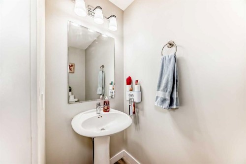228 Red Embers Way Ne, Calgary, AB - Indoor Photo Showing Bathroom