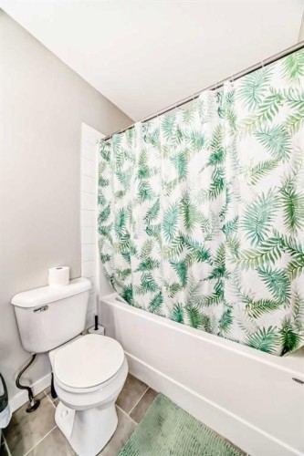228 Red Embers Way Ne, Calgary, AB - Indoor Photo Showing Bathroom