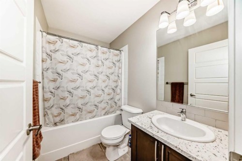 228 Red Embers Way Ne, Calgary, AB - Indoor Photo Showing Bathroom