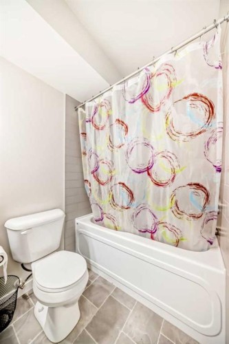 228 Red Embers Way Ne, Calgary, AB - Indoor Photo Showing Bathroom