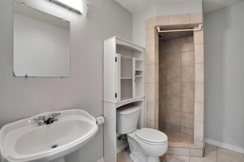 42 Harvest Rose Circle Ne, Calgary, AB - Indoor Photo Showing Bathroom