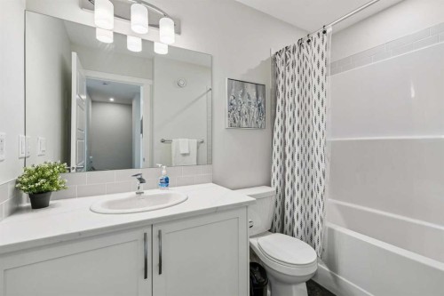 201 Vantage Drive, Cochrane, AB - Indoor Photo Showing Bathroom