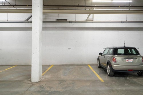 204-3111 34 Avenue Nw, Calgary, AB - Indoor Photo Showing Garage