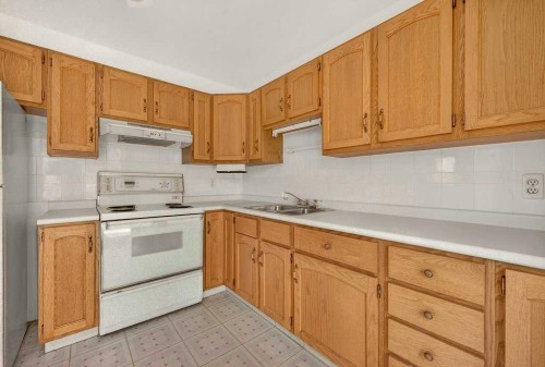 83 Ferncliff Crescent Se, Calgary, AB - Indoor Photo Showing Kitchen With Double Sink