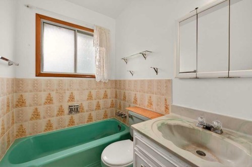 83 Ferncliff Crescent Se, Calgary, AB - Indoor Photo Showing Bathroom