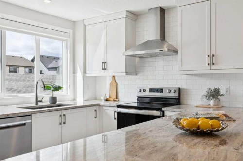 303 Masters Row Se, Calgary, AB - Indoor Photo Showing Kitchen With Upgraded Kitchen