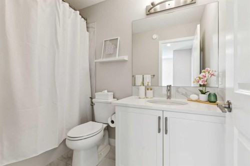 303 Masters Row Se, Calgary, AB - Indoor Photo Showing Bathroom