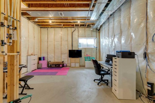 303 Masters Row Se, Calgary, AB - Indoor Photo Showing Basement