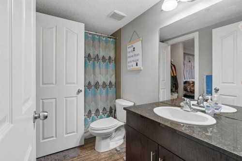 305-355 Taralake Way Ne, Calgary, AB - Indoor Photo Showing Bathroom