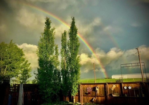 283 Willow Ridge Manor, Diamond Valley, AB - Outdoor With View