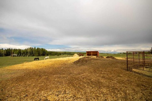 10-33139 Range Road 55, Rural Mountain View County, AB - Outdoor With View
