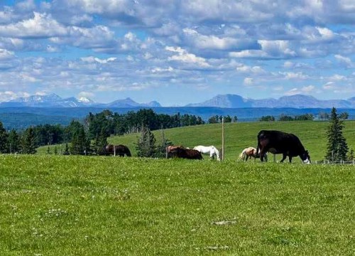 10-33139 Range Road 55, Rural Mountain View County, AB - Outdoor With View