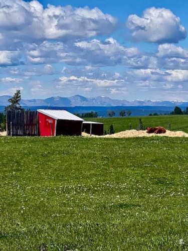 10-33139 Range Road 55, Rural Mountain View County, AB - Outdoor With View