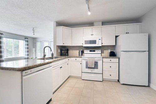 306-735 56 Avenue Sw, Calgary, AB - Indoor Photo Showing Kitchen With Double Sink
