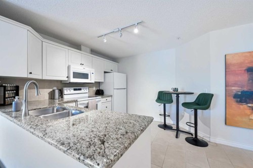 306-735 56 Avenue Sw, Calgary, AB - Indoor Photo Showing Kitchen With Double Sink