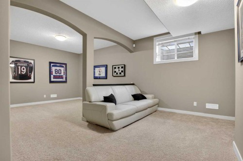 30 Cranarch Circle Se, Calgary, AB - Indoor Photo Showing Basement