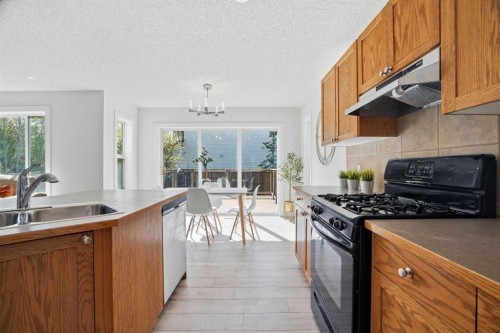86 Brightondale Parade Se, Calgary, AB - Indoor Photo Showing Kitchen With Double Sink
