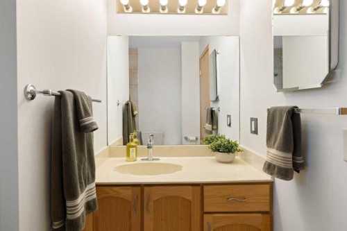 14207 Deer Run Boulevard Se, Calgary, AB - Indoor Photo Showing Bathroom