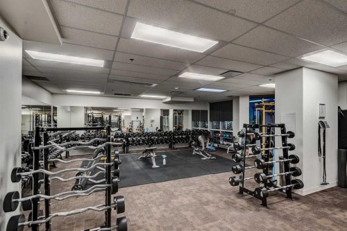 2401-220 12 Avenue Se, Calgary, AB - Indoor Photo Showing Gym Room