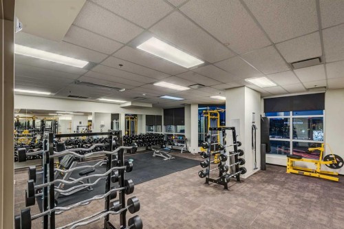 2401-220 12 Avenue Se, Calgary, AB - Indoor Photo Showing Gym Room