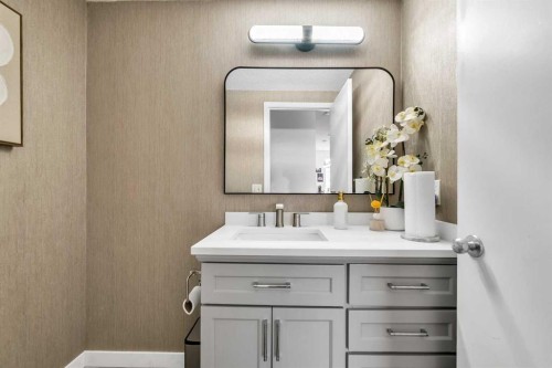 300 Copperstone Cove Se, Calgary, AB - Indoor Photo Showing Bathroom
