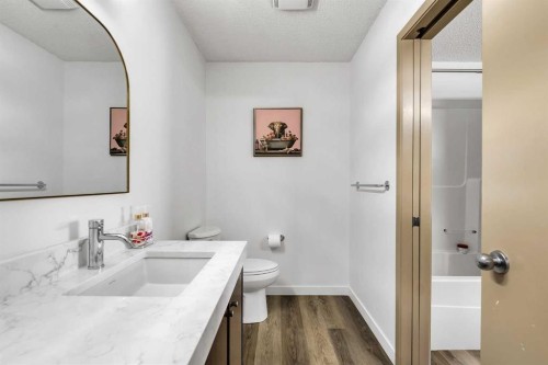 300 Copperstone Cove Se, Calgary, AB - Indoor Photo Showing Bathroom