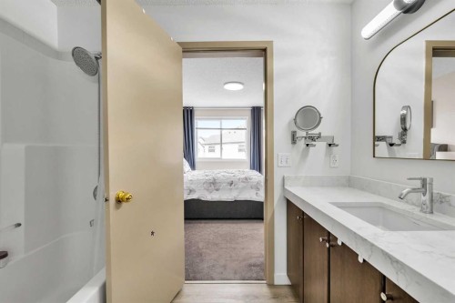 300 Copperstone Cove Se, Calgary, AB - Indoor Photo Showing Bathroom
