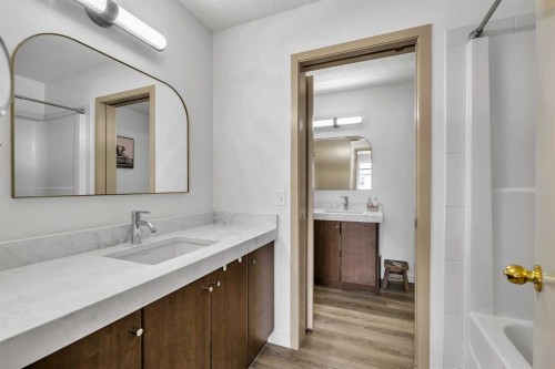 300 Copperstone Cove Se, Calgary, AB - Indoor Photo Showing Bathroom