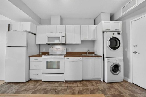 306-3830 Brentwood Road NW Calgary, AB T2L 1K8