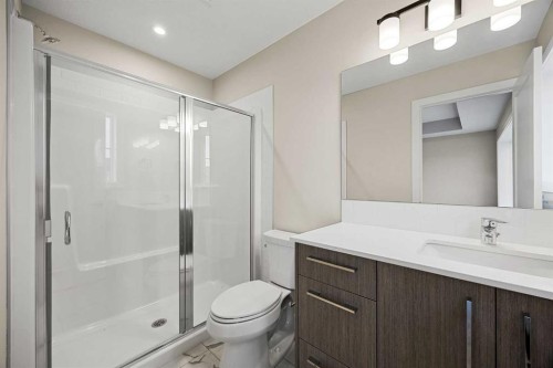 536 Chelsea Gardens, Chestermere, AB - Indoor Photo Showing Bathroom