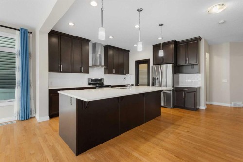 486 Silverado Boulevard Sw, Calgary, AB - Indoor Photo Showing Kitchen With Upgraded Kitchen