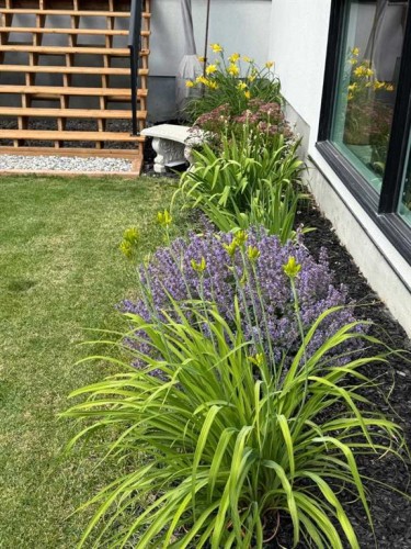 159 Rosery Drive Nw, Calgary, AB - Outdoor