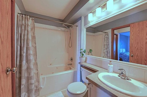 234 Martinvalley Mews Ne, Calgary, AB - Indoor Photo Showing Bathroom