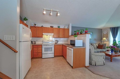 234 Martinvalley Mews Ne, Calgary, AB - Indoor Photo Showing Kitchen