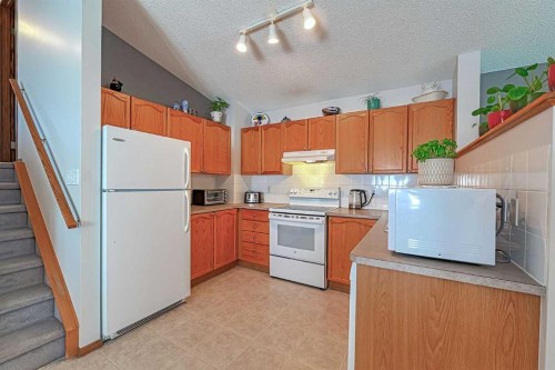 234 Martinvalley Mews Ne, Calgary, AB - Indoor Photo Showing Kitchen