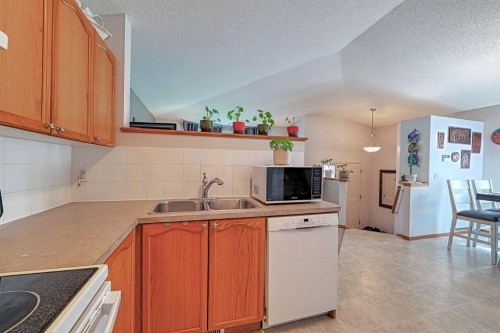 234 Martinvalley Mews Ne, Calgary, AB - Indoor Photo Showing Kitchen With Double Sink