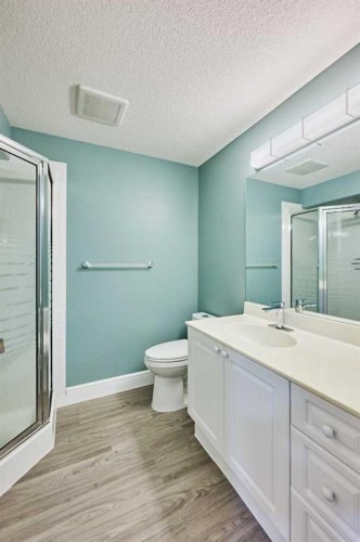 252 Edgebank Circle Nw, Calgary, AB - Indoor Photo Showing Bathroom